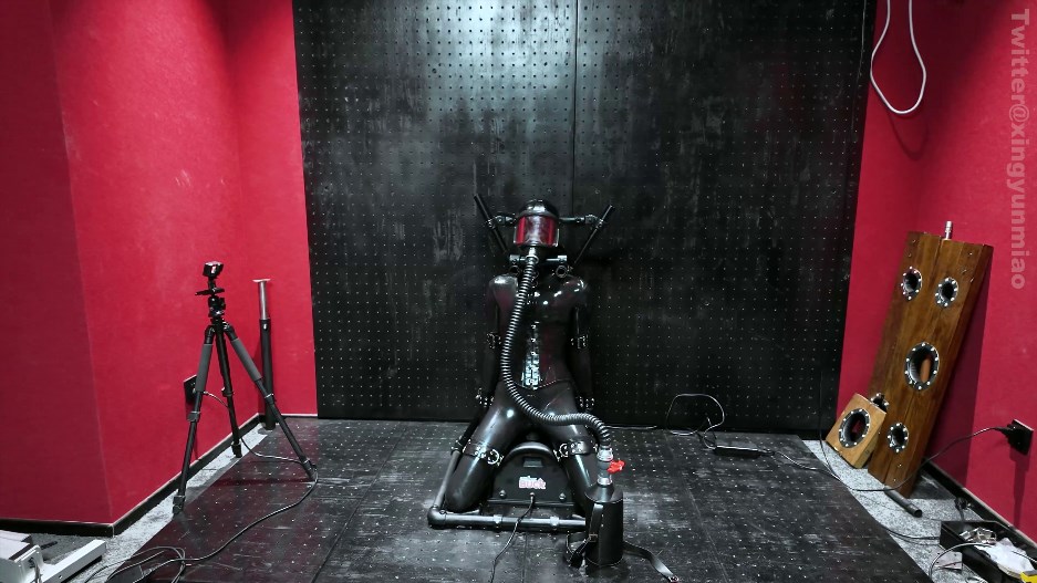 Steel Pipe Torture Rack Restraint